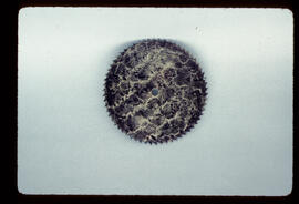 Unknown maker, Manchester: Square dial, 1780-1820 / Clockmaker: Samuel Clare, Halton, 1764-1811